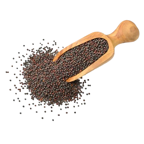 Mustard Seeds